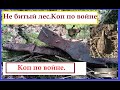 Коп по войне. "Боевой  лес".Калининград.