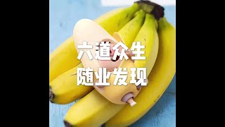 201604 六道众生随业发现21715