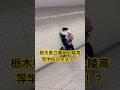 栃木県立真岡北陵高等学校の生徒、公衆の面前でらふぶきそょ