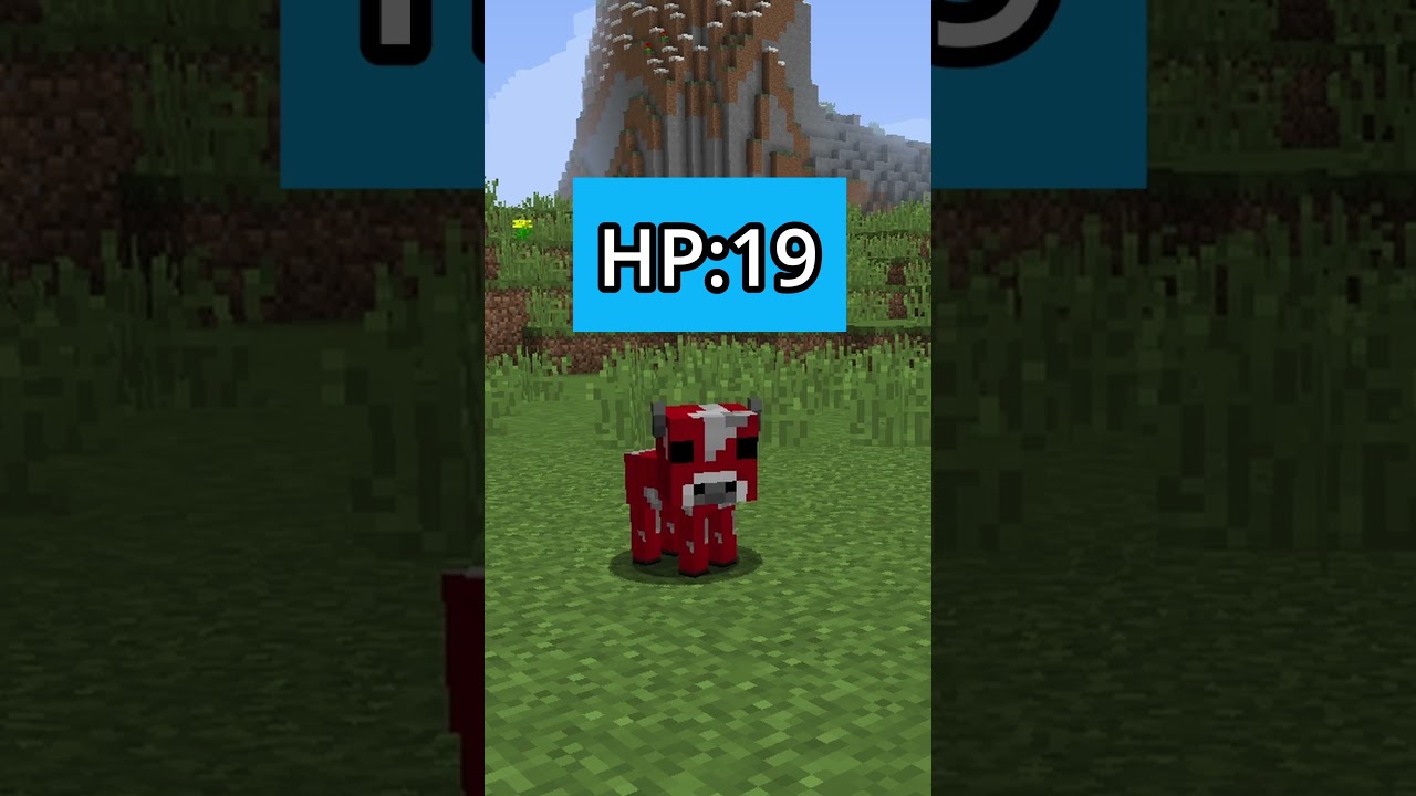 A move has been made. What's next? 