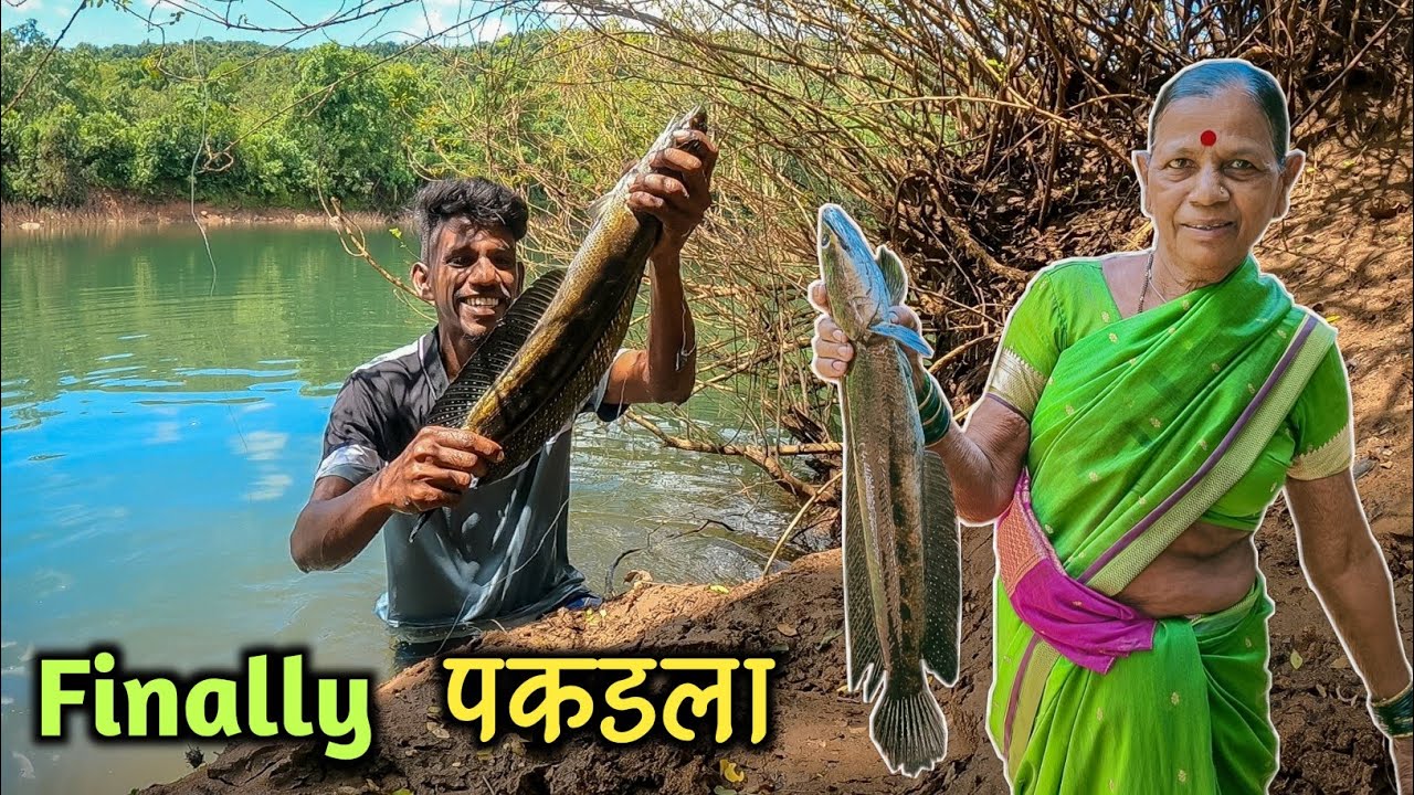 Snakehead Fishing🎣|गरीला लागला मोठा मरळ मासा🦈|छातीभर पाण्यात जाऊन काढावा लागला मासा|River Fishing