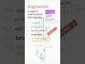 💊 Augmentin Tablet Uses &amp; Safety Information | Healthcare Insight