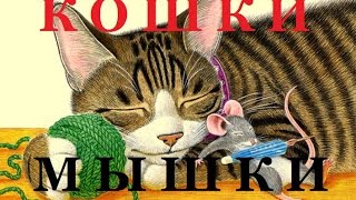 Игра для Кошки. Электронная VS Аналоговая? Игра для Кошки. Электронная VS Аналоговая?