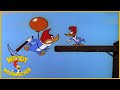 Woody Woodpecker To Catch A Woodpecker Full Episodes 