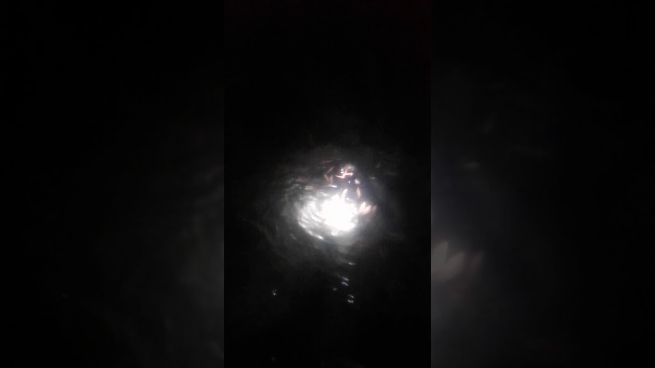 PENAMPAKAN HANTU NYATA YouTube