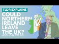 Will Brexit Lead to a United Ireland? Why 42% of Northern Ireland Support Leaving the UK - TLDR News