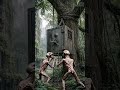 Camouflaged Survival Bunker Beneath a Giant Forest Stump
