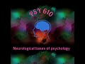 PSY 10 NEUROLOGICAL BASES OF PSYCHOLOGY LECTURE NO  2.