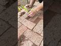 Planting Sugarcane Between Bricks