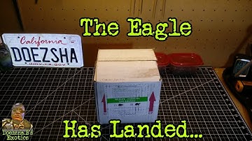 New Ball Python Pick Ups