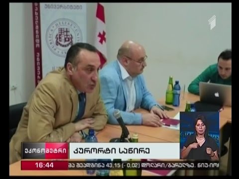 ილიაუნიში საწირის შესახებ პრეზენტაცია გაიმართა