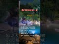咲いてみないかもう一度(岩出和也)カバー宮