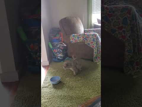 بخش اول صبر و شکیبایی بی نقص در کار ۲۳ نوامبر ۲۰۲۵