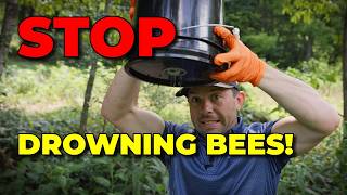 🐝 Stop Drowning Your Bees! (why Bucket Feeders Are Great)