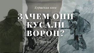 Кто такие кусатели ворон? В наши дни их бы оштрафовали и засудили! Но у них не было выбора.