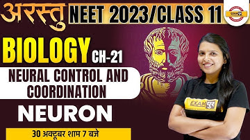 NEET 2023 BIOLOGY | Neural control and coordination | NEURON  CHAPTER 21 | RADHIKA MAM