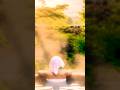 My Solo Escape to a Japanese Ryokan2025 #youtubeshorts #subscribemychannel#relaxing #travel #fact