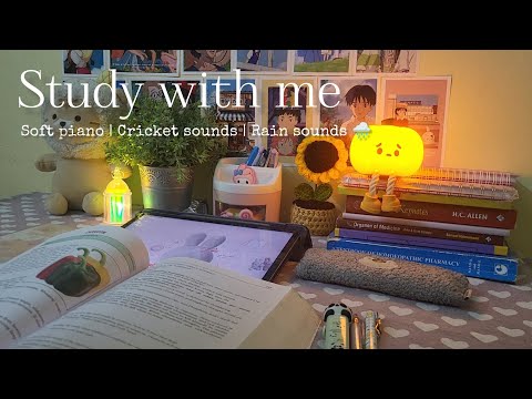 Cozy 1 hour Study With Me 🌙  with Cricket sounds 🌿, Rain sounds 🌧, Piano music, Alarm, Timer 