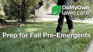 Prep for Fall Pre-Emergents - Weed Prevention Tips