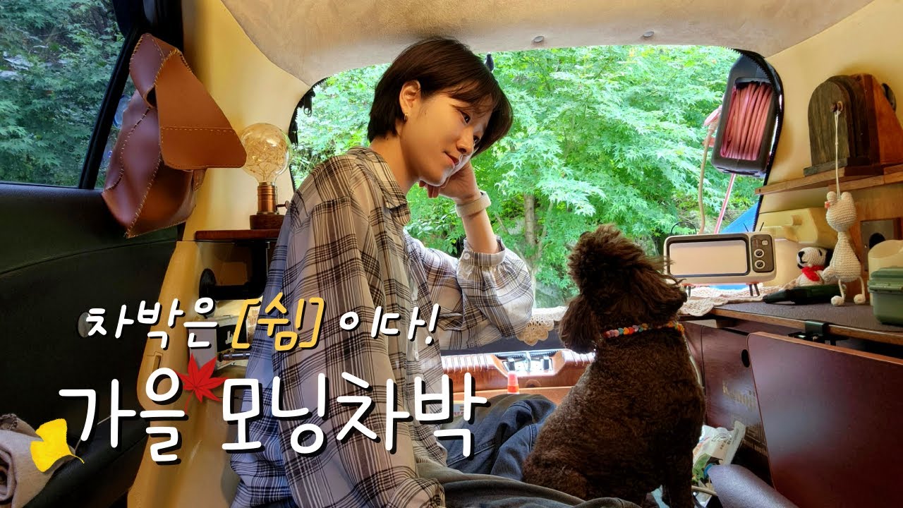 [60]경차모닝차박/가을바람 부는 언덕에서 1인용캠핑카로 강아지와 아늑한 하루 보내기/애견동반캠핑/젤코바캠핑장