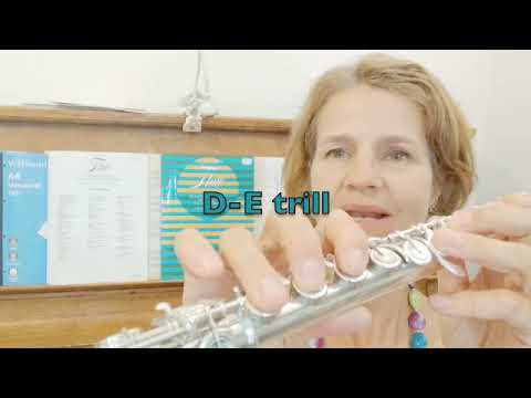 Trilli Tutorial Parte 1