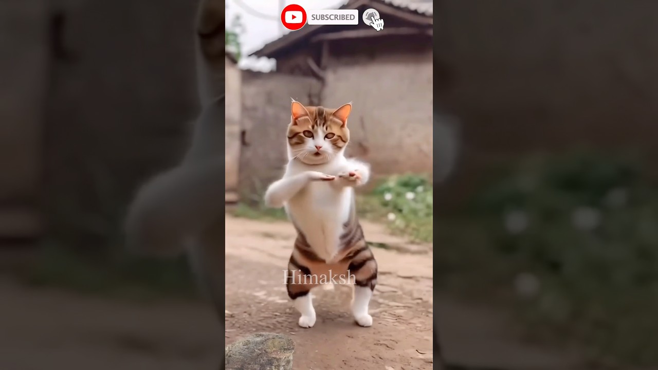 Funny cat 🐈 monkey 🐵 and baby laughing video 