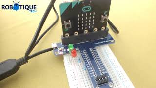 Flash two LEDs with micro: bit