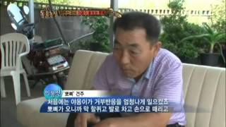 '뽀삐'와 '야옹이'의 힐링스토리! @TV 동물농장 20121021