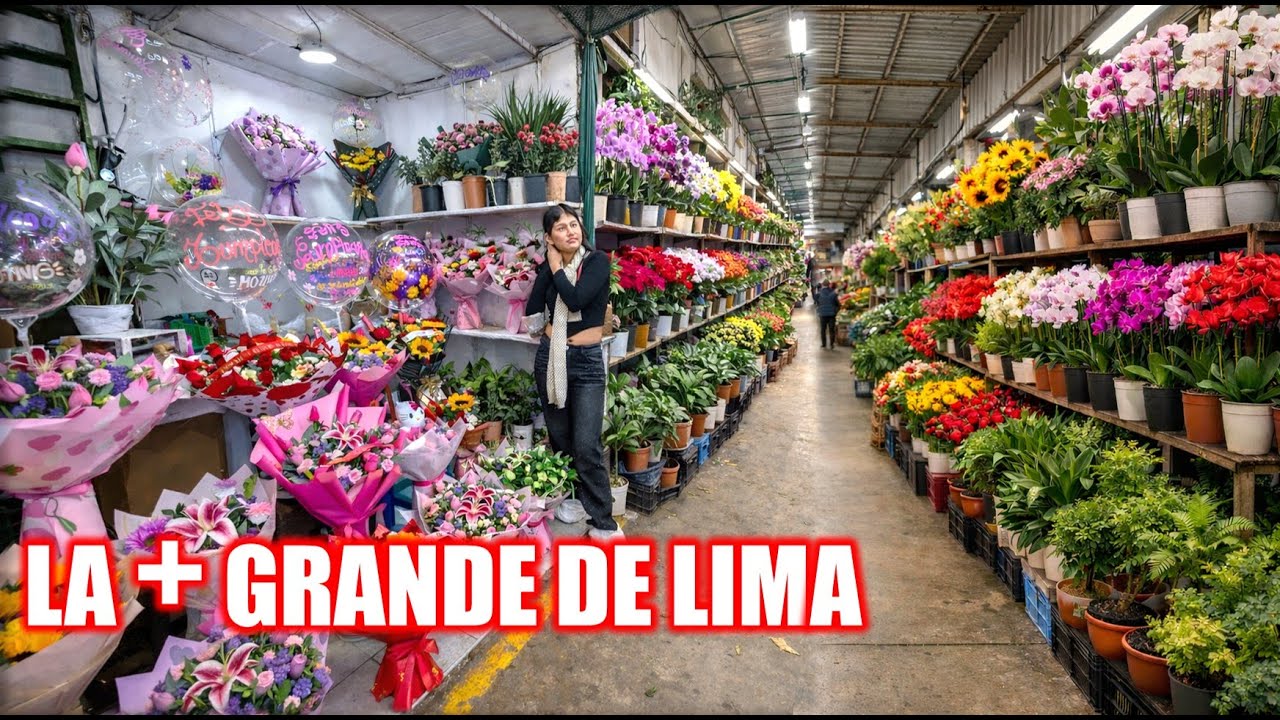 EL mercado de FLORES EXOTICOS mas grande del Perú 2026.