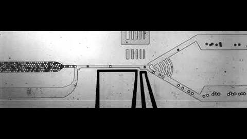 Droplet based microfluidics ESPCI LBC Sorting
