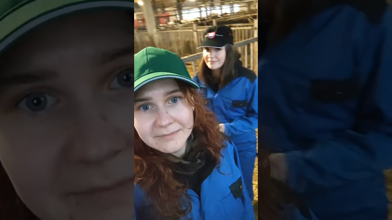 Tervetuloa HAMKin opetus- ja tutkimusmaatilan navettaan!