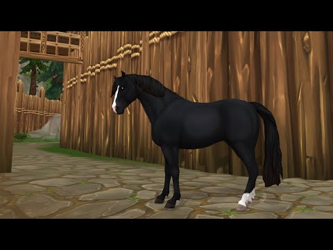 Star Stable : New Connemara App (Black)