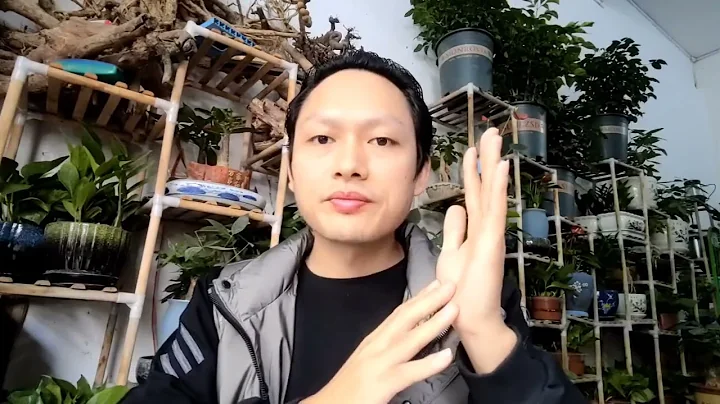 在展现智慧，展现本自具足过程，工具的运用很重要。且行且珍惜。 - 天天要闻