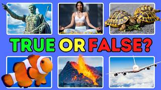 25 True or False Quiz Questions | Test Your General Knowledge!