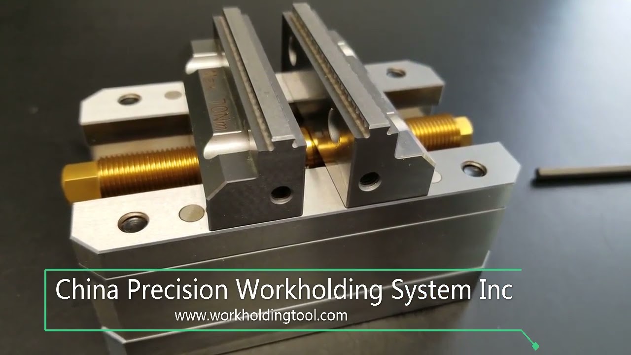 5 axis vice vise tooling factory price from China CPWS workholding