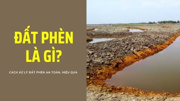 Đất phèn là gì? Cách xử lý đất phèn an toàn, hiệu quả