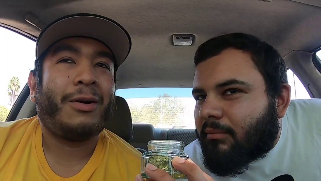 THC DESIGN "DOMO G" FLOWER STRAIN REVIEW & REACTION!