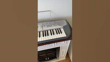 Casio Keyboard CTK-230 Sound Bank 49 Keys 100 Tones 50 Songs Electronic Synth