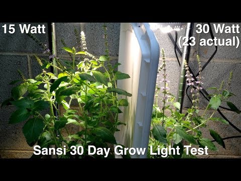 Sansi led grow light comparison update - 30 day time-lapse