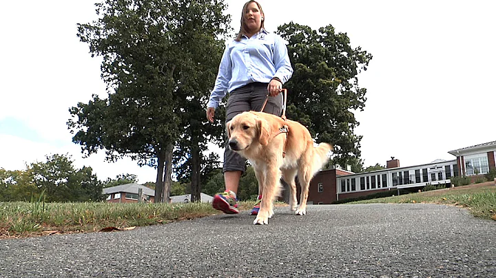 The Seeing Eye Trains Guide Dogs for Visually Impa...