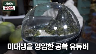 “포브스 선정 가장 쓸모없는 로스트아크 굿즈”