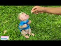 Dad takes care of and trained baby monkey BiBi