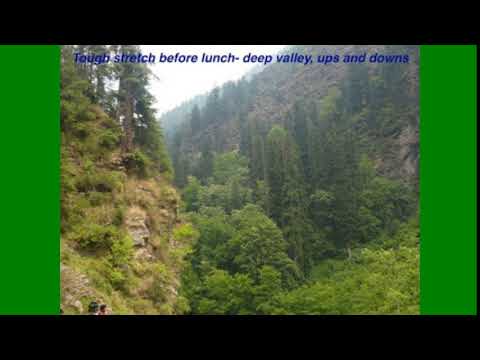 Avaidh Asalahe Banane Kee Phaikttree Pakaddee Do Giraphtar