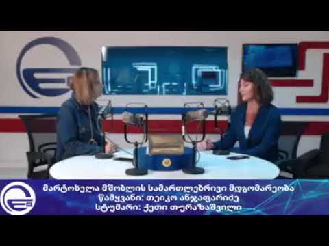 მარტოხელა მშობლის სამართლებრივი მდგომარეობა/“დღის არხი“/“რადიო იმედი,Radio Imedi