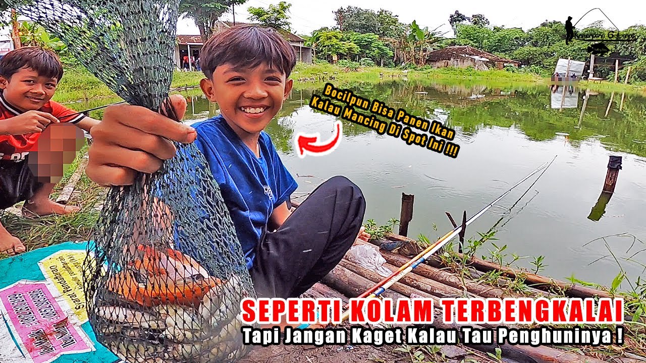 KELIHATANNYA TERBENGKALAI ! TAPI LIHATLAH BEGITU BANYAK IKAN DI KOLAM INI ! Fishing Story Eps 96