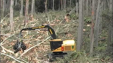 Southern Hemisphere Harvesting Systems (2009)