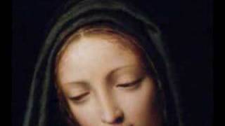 Video thumbnail of "Immaculate Mary"