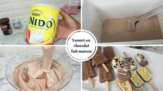 YAOURT AU CHOCOLAT 🍫 | UNE RECETTE A TESTER| Shalou Cuisine