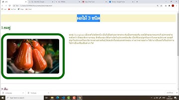 วิชาการสร้างเว็บไซต์ : การเชื่อมต่อไฟล์ CSS และการตกแต่งเบื้องต้น  (Text Editor)[EP.2]
