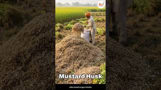 What is biomass, and can it be the game-changer in India's pollution crisis?